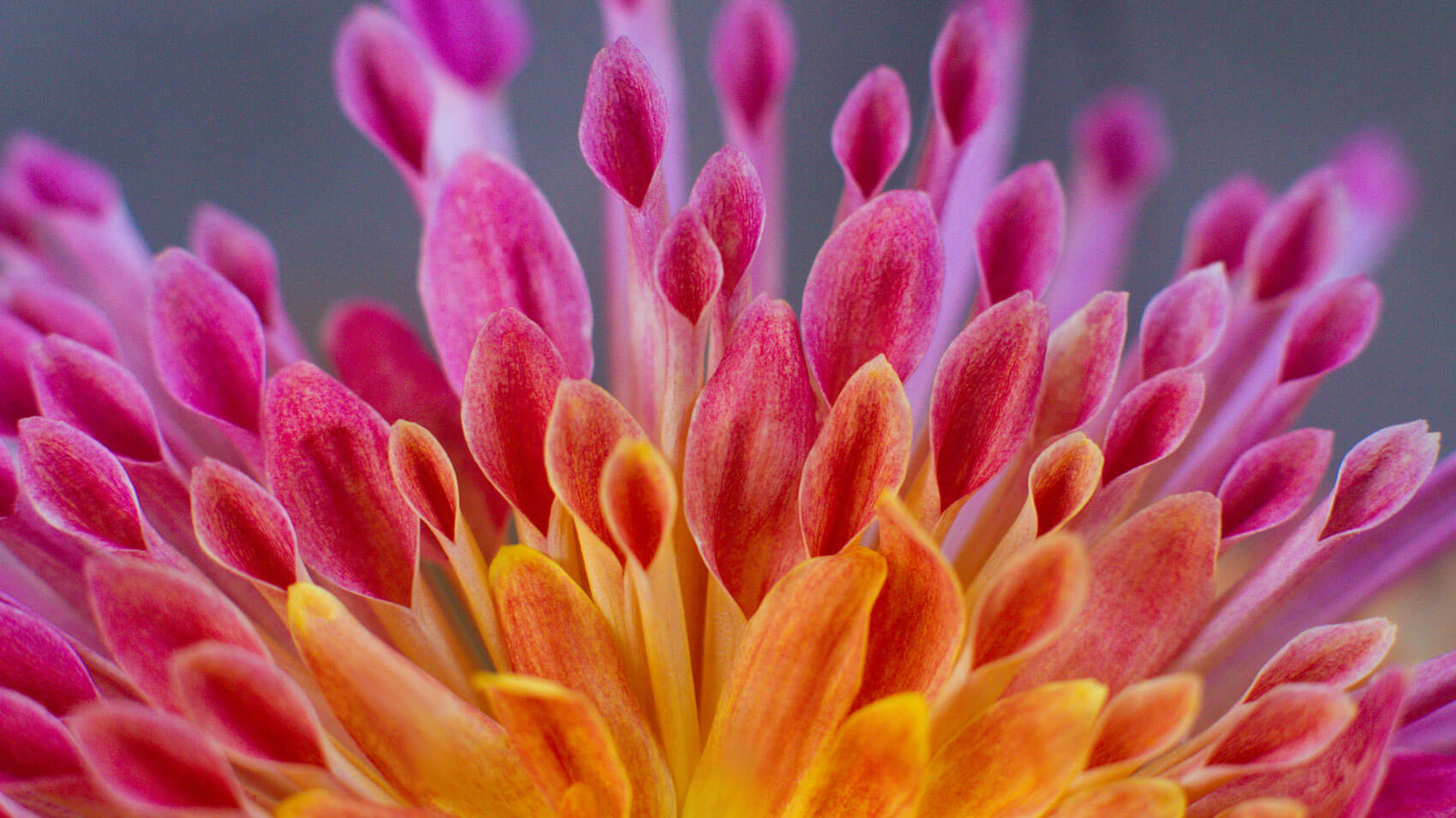 May 4 – Daily Reflections