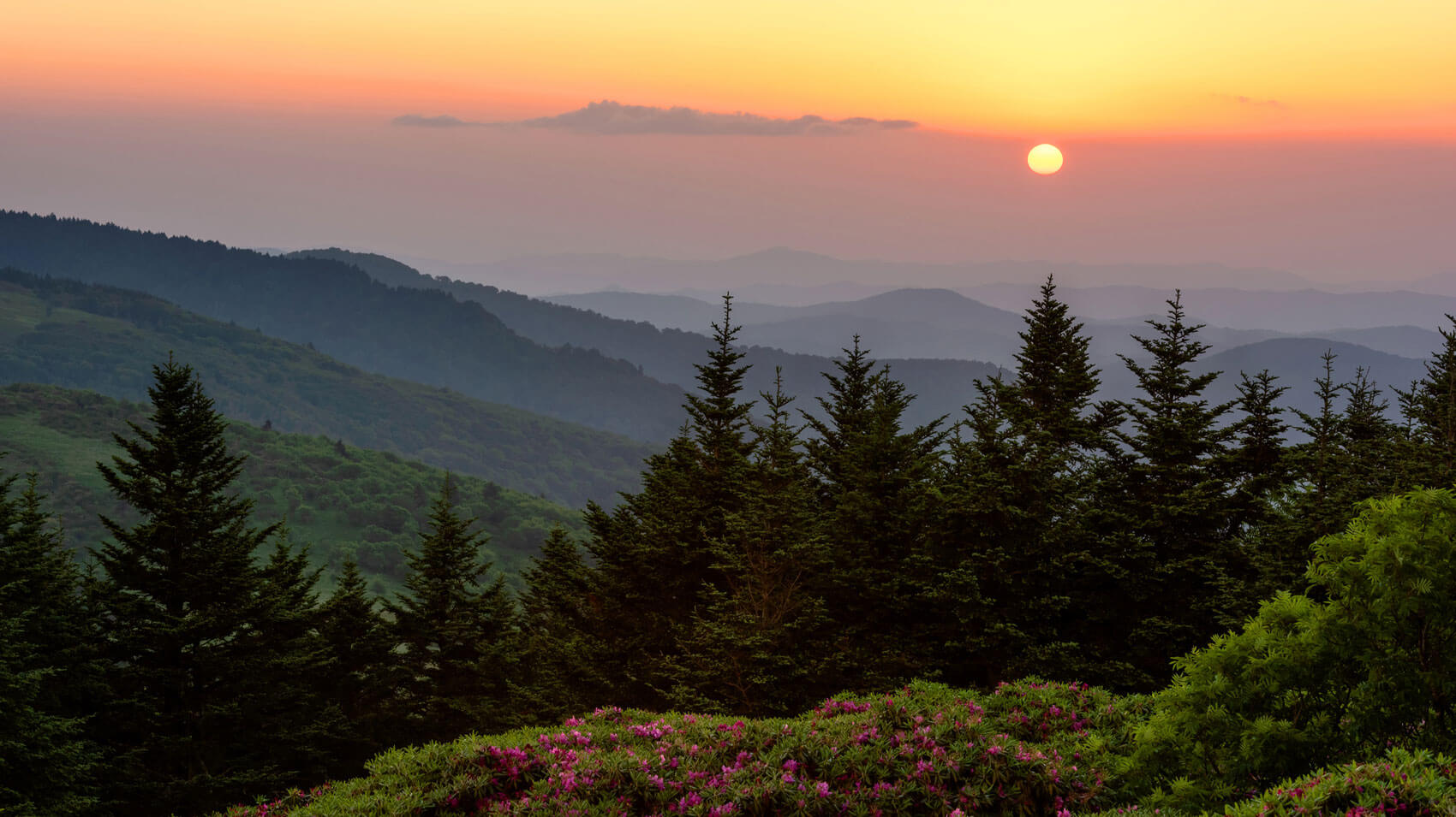 April 6 – Daily Reflections