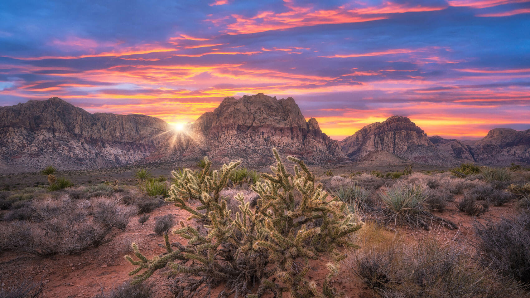 May 11 – Daily Reflections