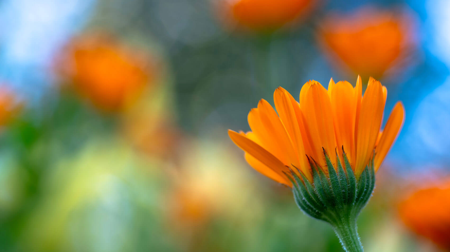 May 12 – Daily Reflections