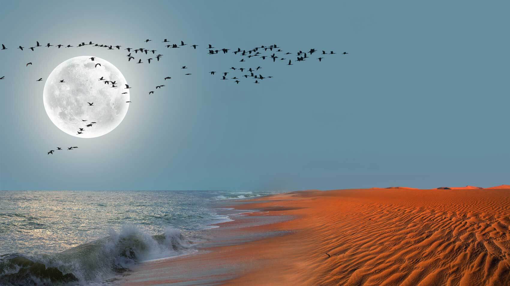 May 14 – Daily Reflections
