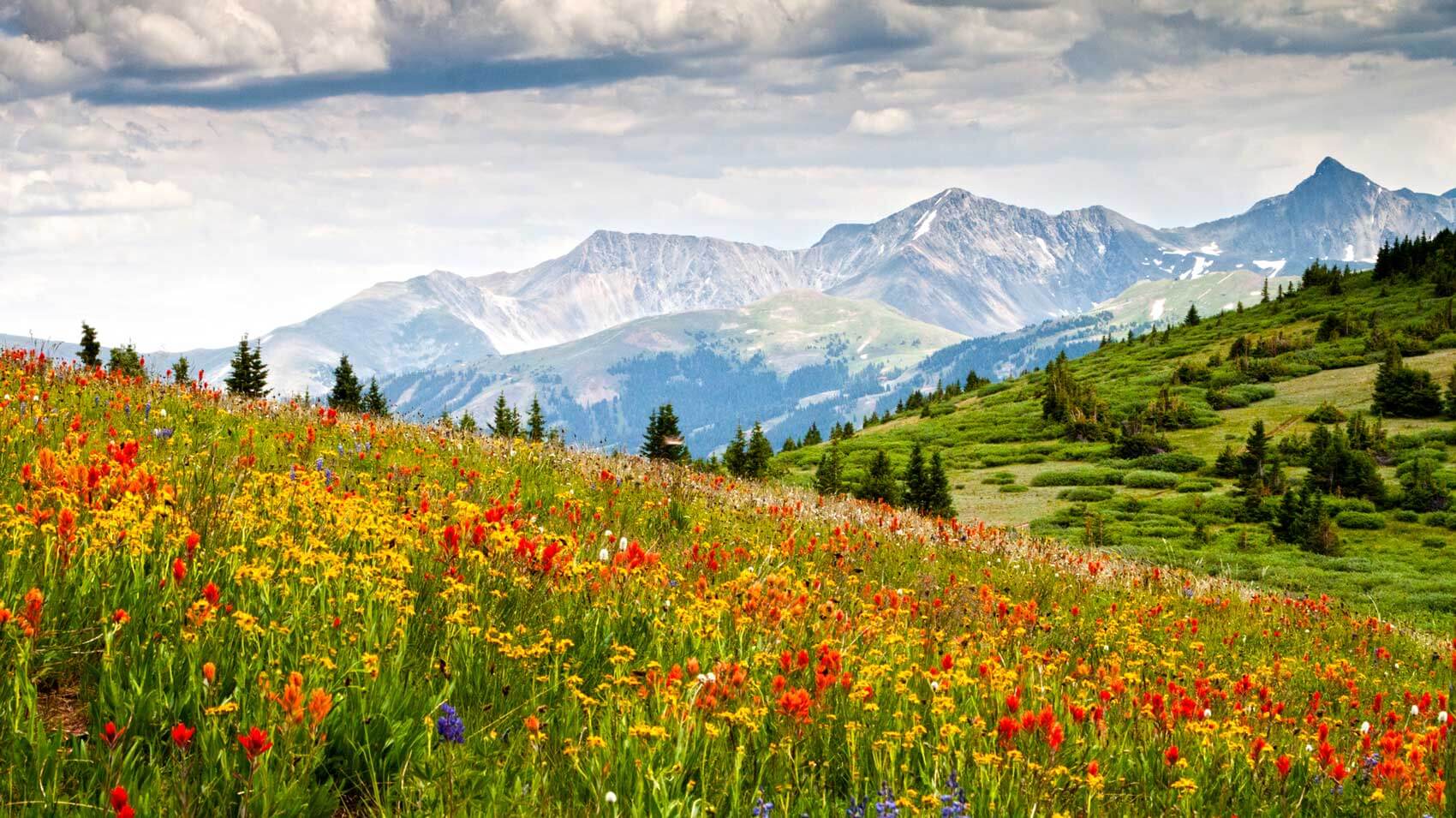May 15 – Daily Reflections