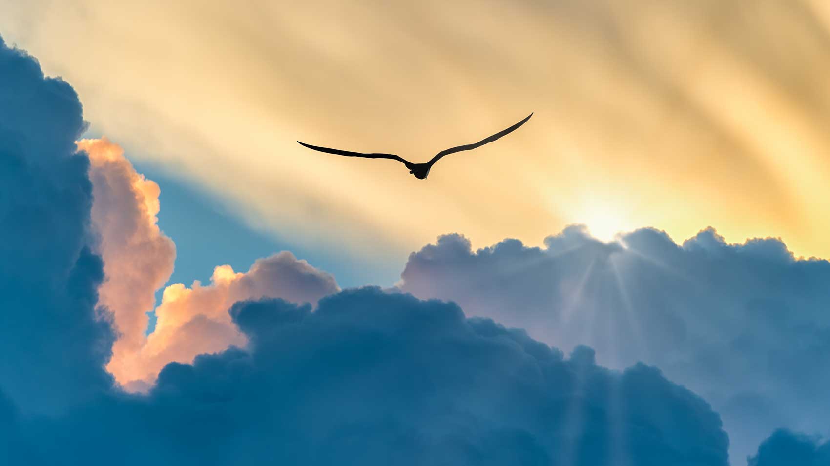 May 17 – Daily Reflections