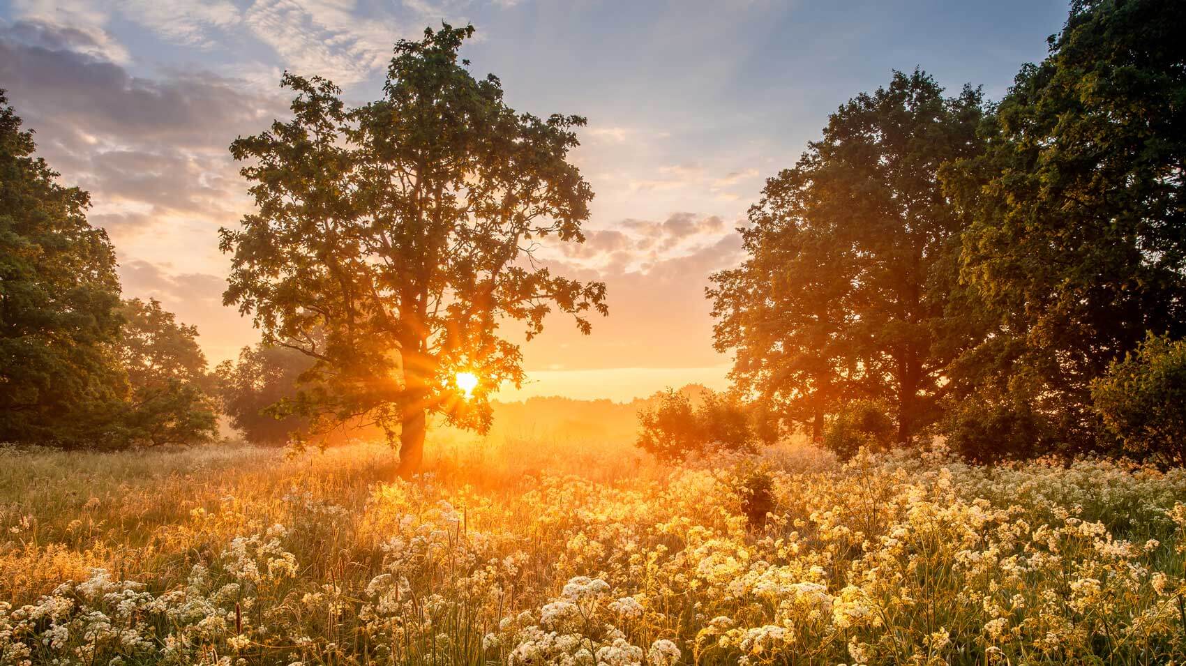 April 21 – Daily Reflections