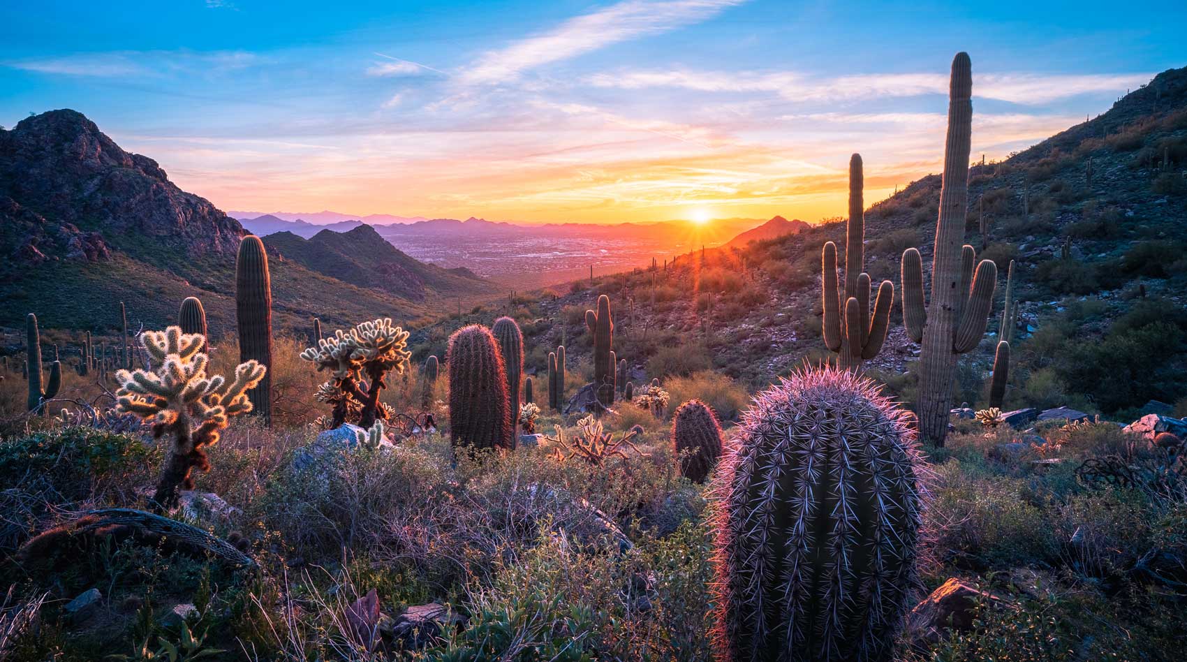 October 24 – Daily Reflections