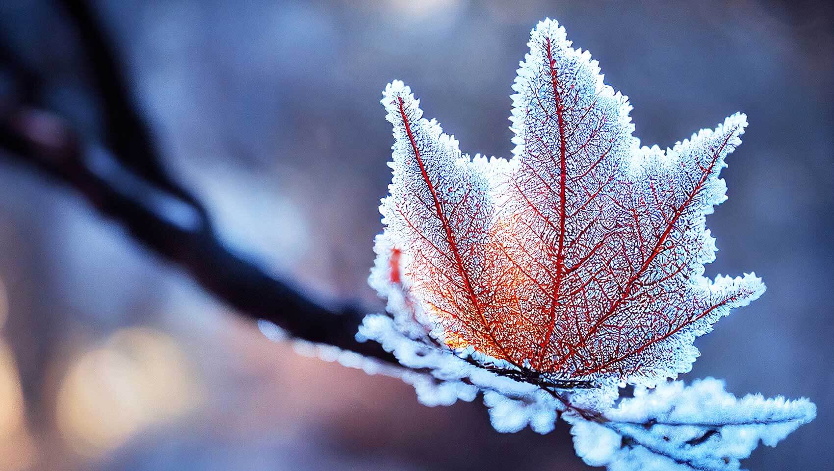 May 25 – Daily Reflections