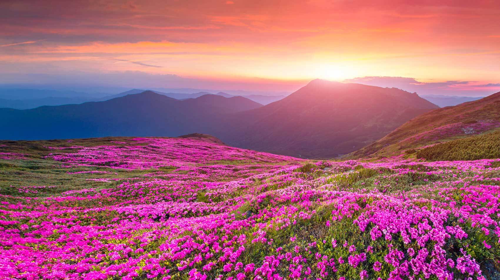 June 28 – Daily Reflections