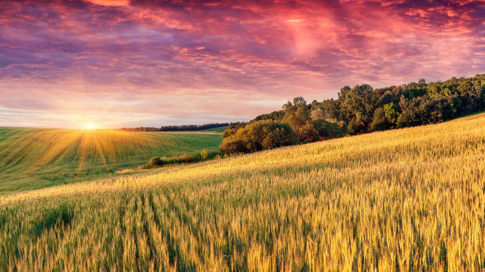June 29 – Daily Reflections