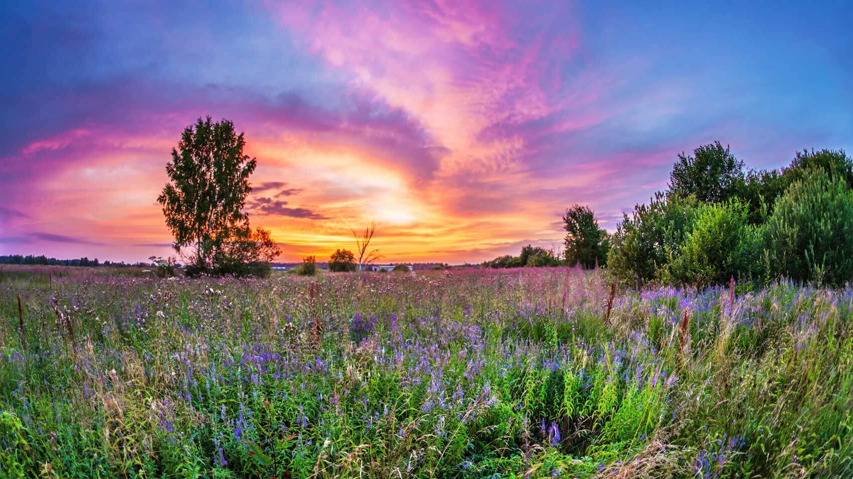 June 30 – Daily Reflections